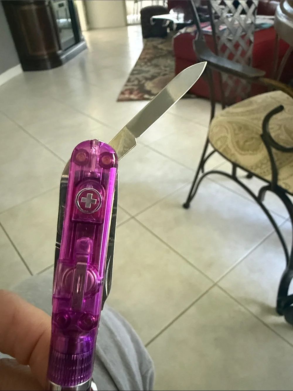 Swiss Pen - Purple Women’s Accessory
